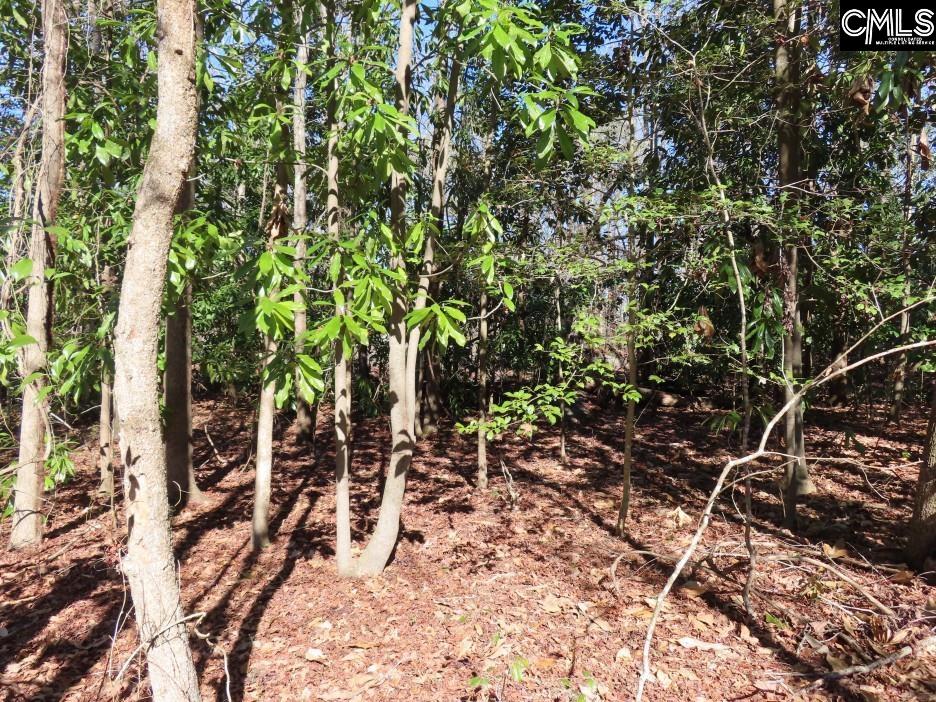 0 Rion Road Winnsboro, SC 29180 - Photo 29 of 42