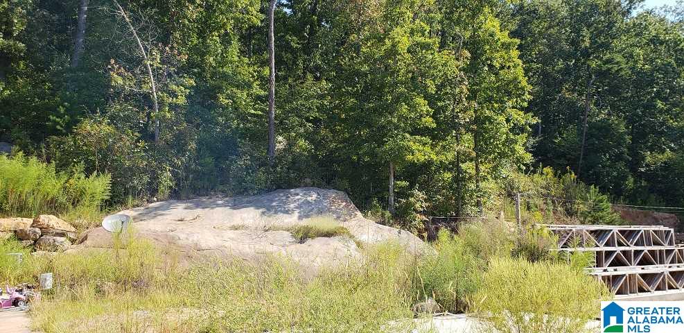 115 Tidmore Lane Oneonta, AL 35121 - Photo 6 of 32