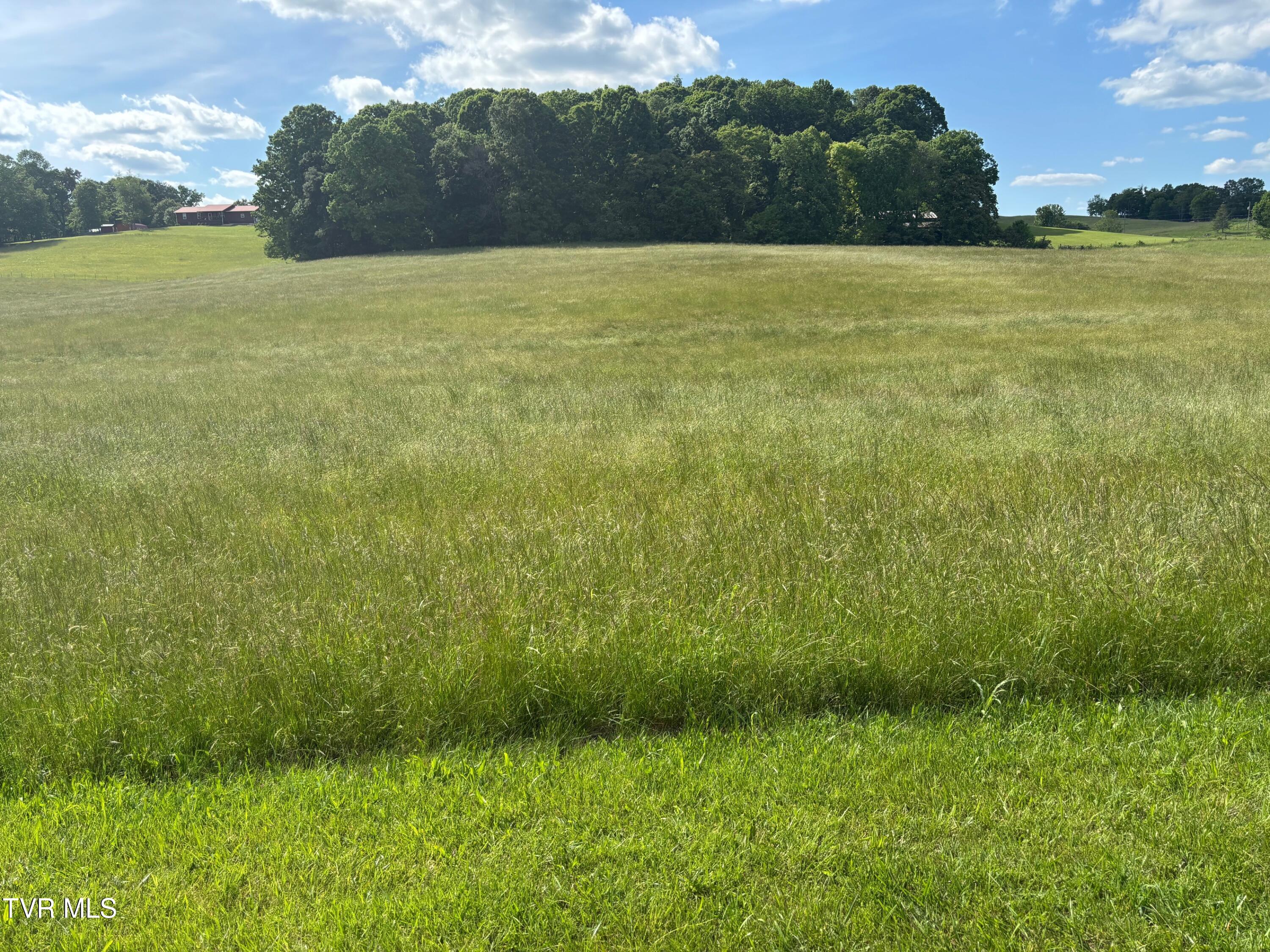 0 Heritage Road North Limestone, TN 37681 - Photo 1 of 1 IMG_2369 (1)