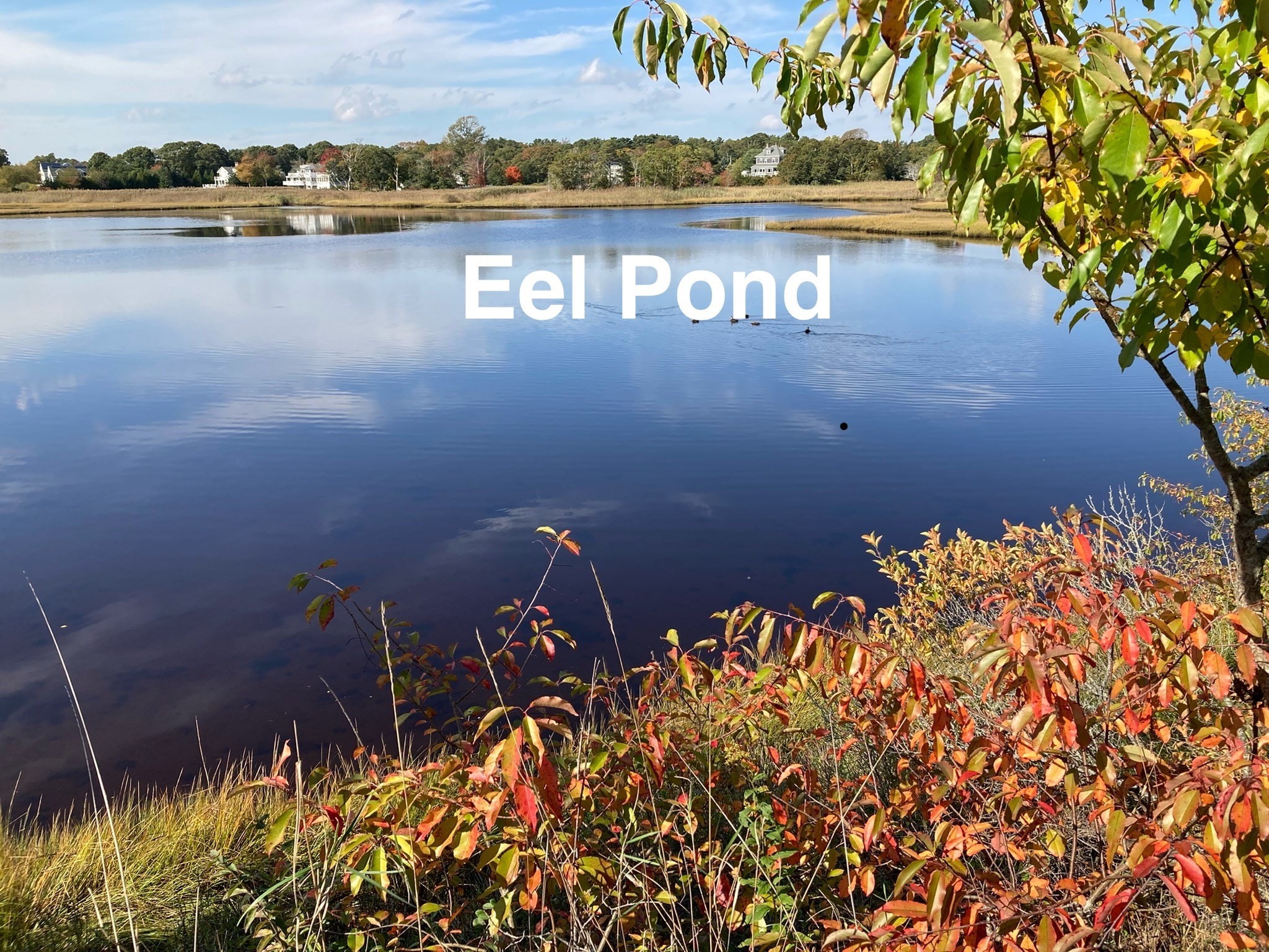 0 Reservation Road Mattapoisett, MA 02739 - Photo 10 of 11 Gallery Image 10