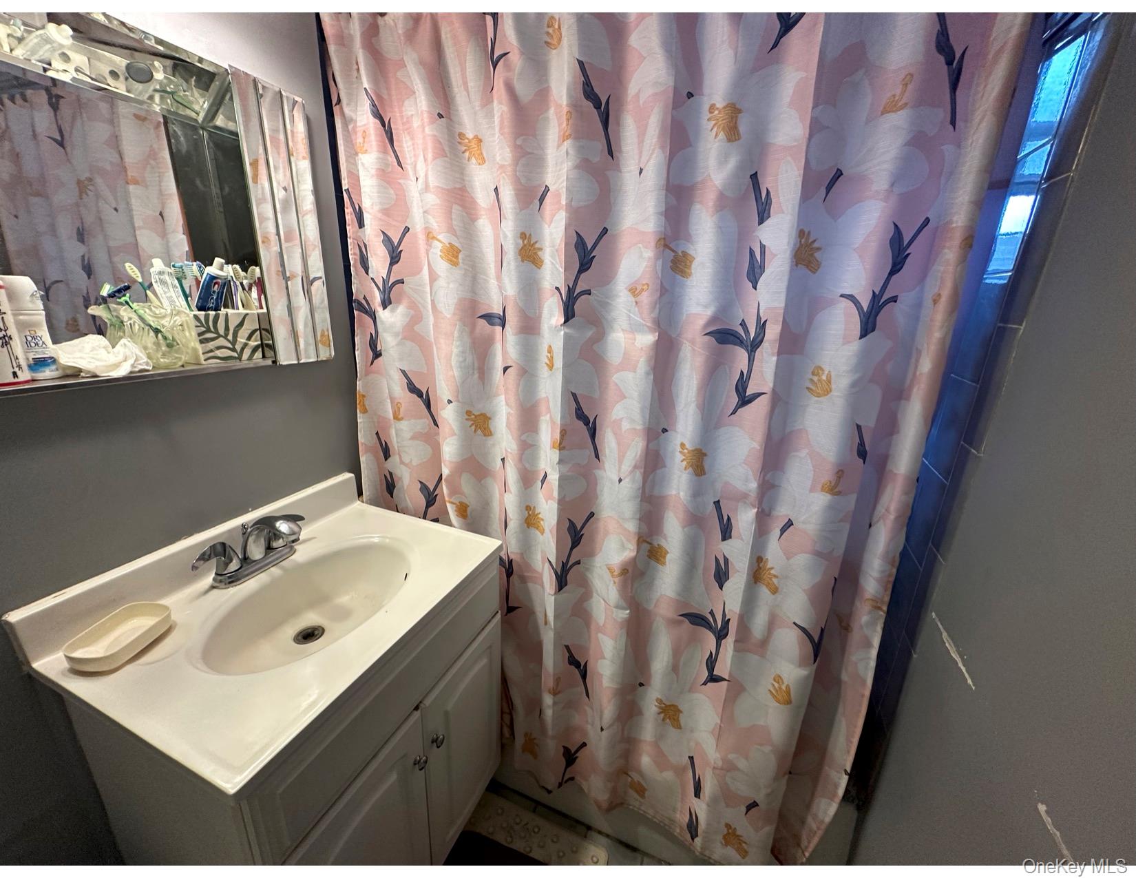 222-89 Braddock Avenue, Unit 1G Queens, NY 11428 - Photo 7 of 13 a bathroom with a sink and mirror