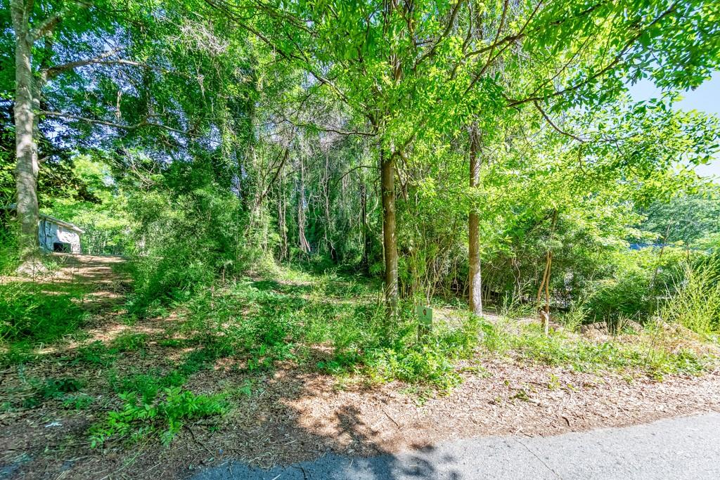 0 1st Street Statham, GA 30666 - Photo 4 of 9 a view of outdoor space and green space