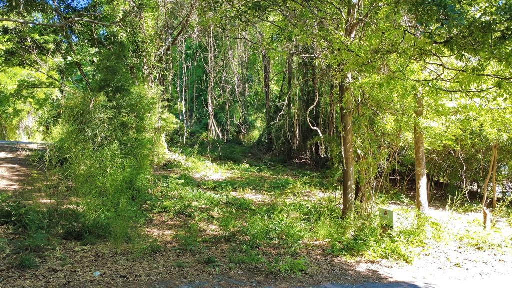 0 1st Street Statham, GA 30666 - Photo 5 of 9 a view of yard