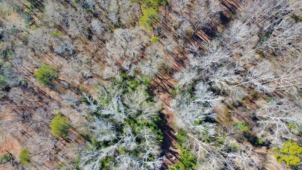 0 1st Street Statham, GA 30666 - Photo 7 of 10