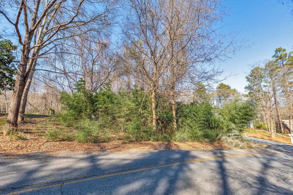 0 1st Street Statham, GA 30666 - Photo 9 of 10