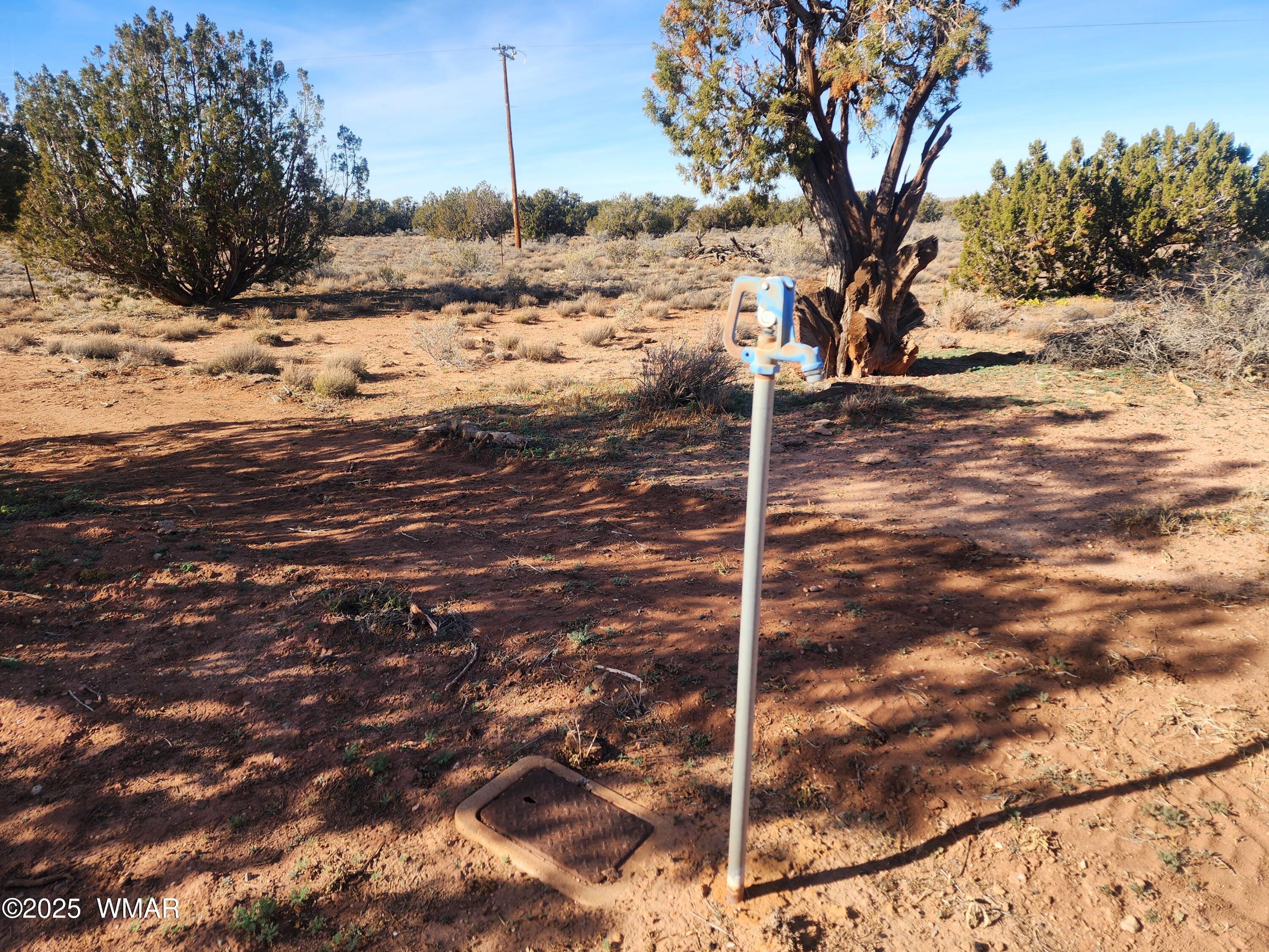 4726 Hay Hollow Road Snowflake, AZ 85937 - Photo 6 of 14 a view of a yard with wooden fence