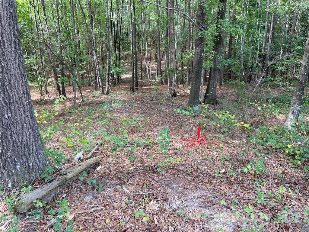 2085 Robert H Kirk Road Lancaster, SC 29720 - Photo 8 of 8 Gallery Image 8