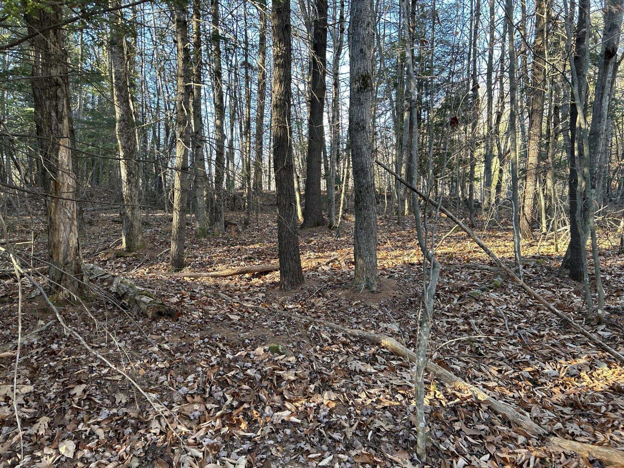 10 10 Lots Road Oakland, ME 04963 - Photo 20 of 28 IMG_3414