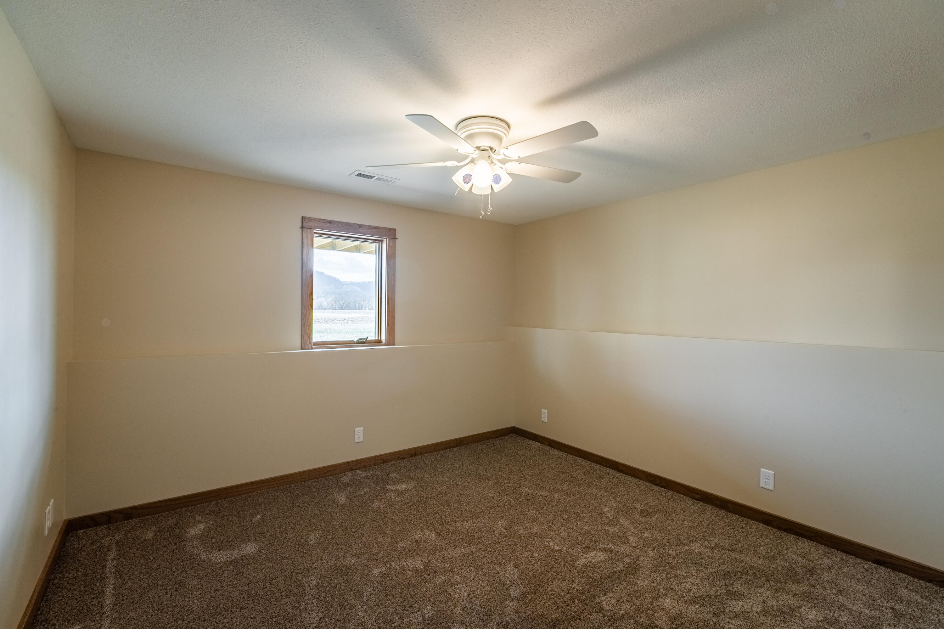205 Pheasant Run Rollingstone, MN 55969 - Photo 18 of 25 C24I2701-HDR