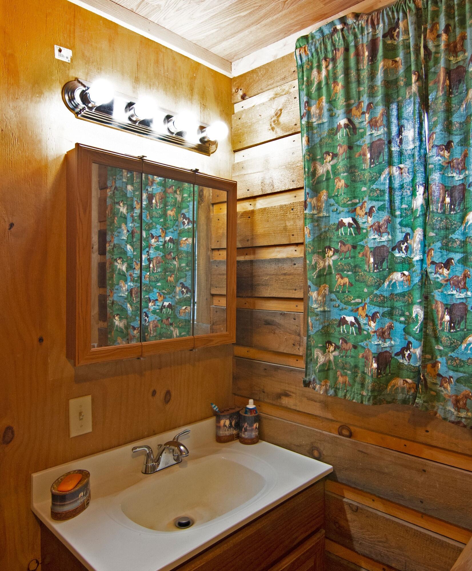 2319 New River Road Hinton, WV 25951 - Photo 22 of 31 Gallery Image 22