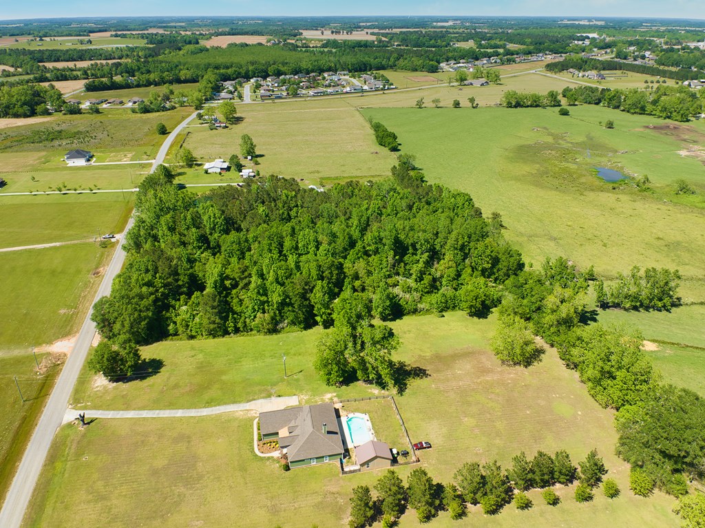 0 Suggs Road Headland, AL 36345 - Photo 5 of 7