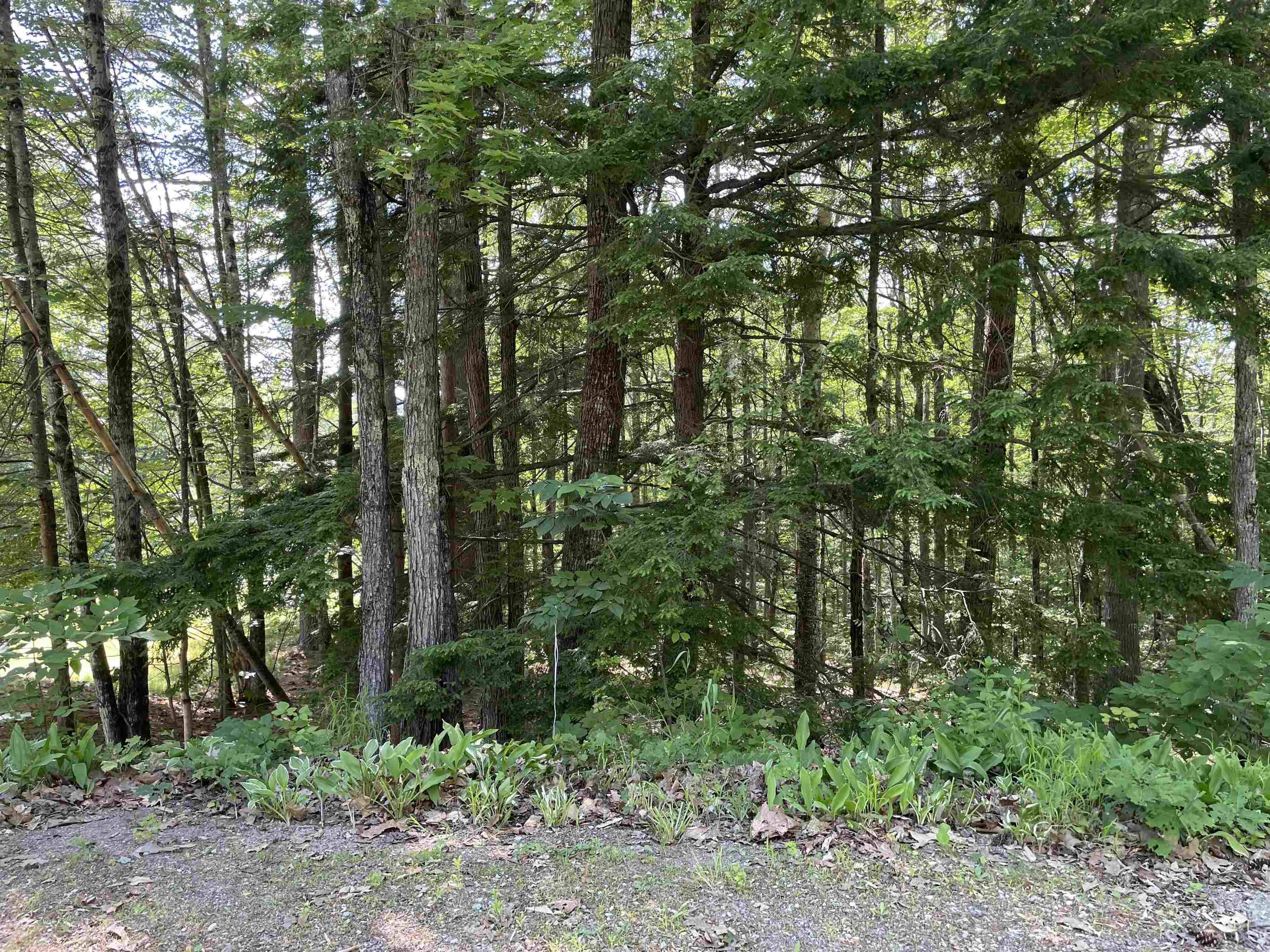 973 Conway Road Madison, NH 03849 - Photo 24 of 24