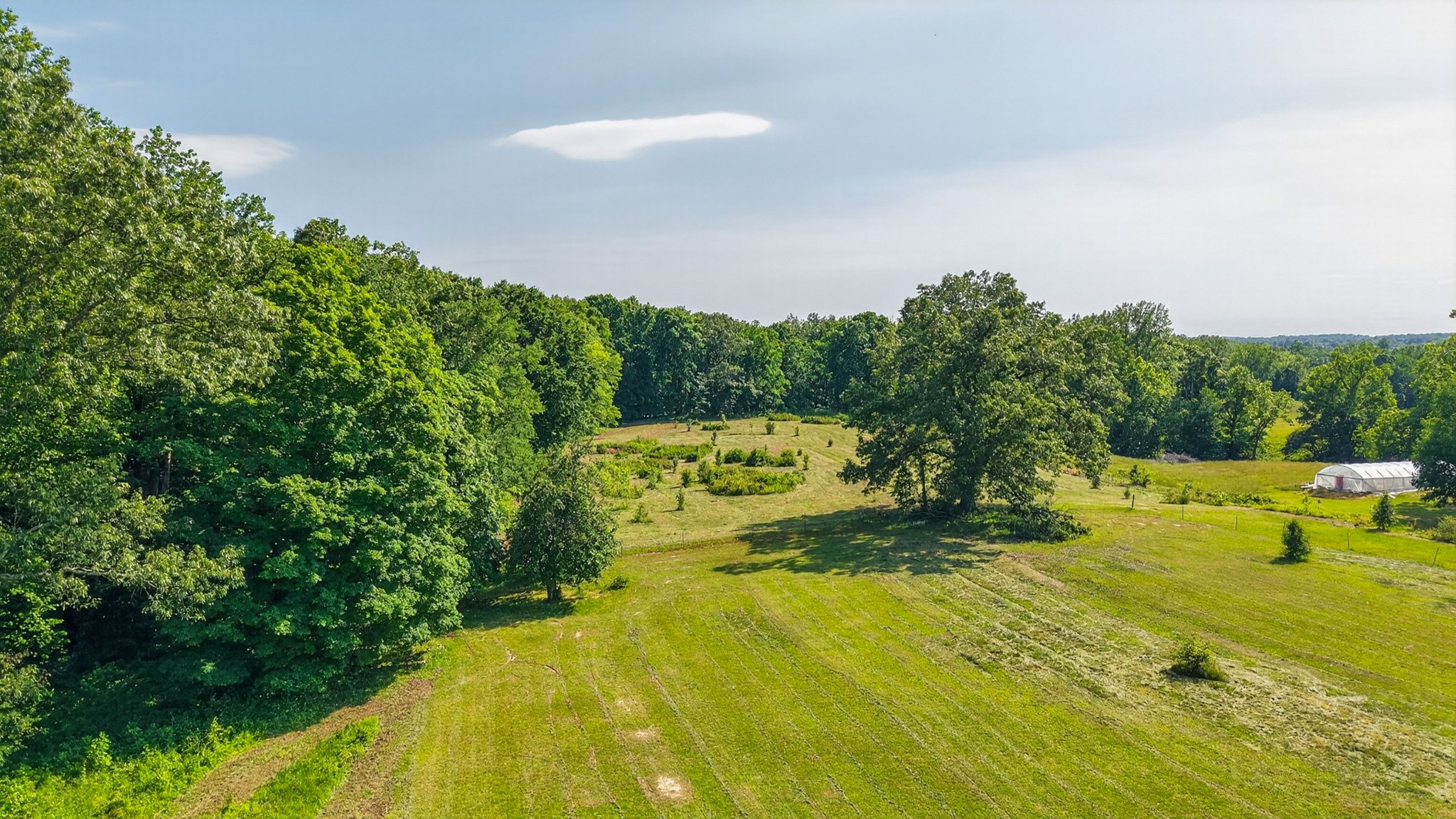 1804 Highway 52 Portland, TN 37148 - Photo 32 of 40