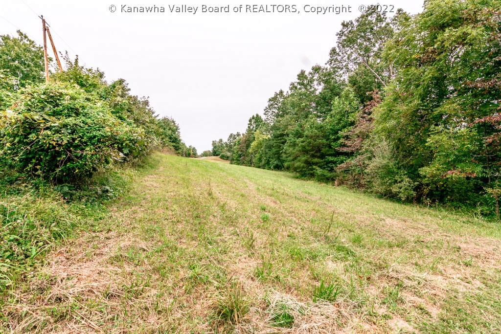 0 Jim Ridge Road Pleasureville, KY 40057 - Photo 6 of 18 Gallery Image 6