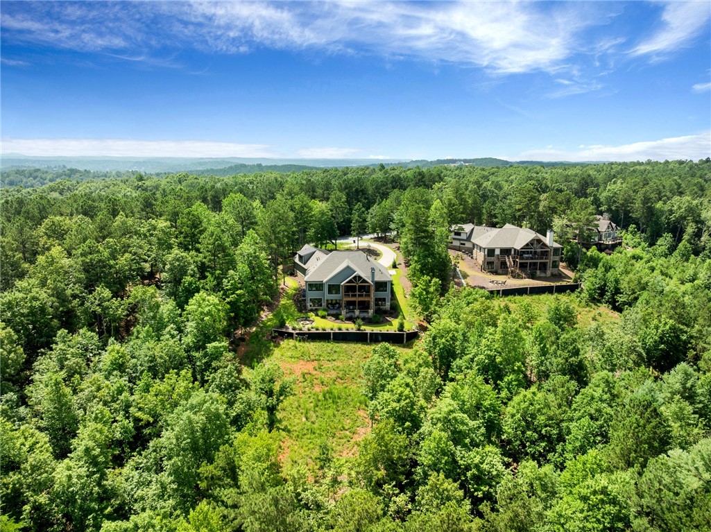 372 Cliffs S Parkway Salem, SC 29676 - Photo 49 of 50