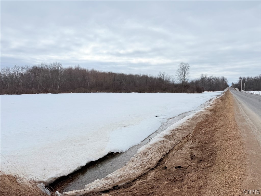 Buttermilk Flat Road La Fargeville, NY 13656 - Photo 3 of 9