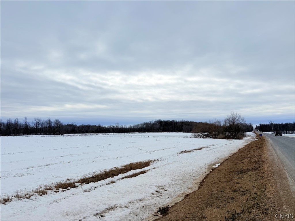 Buttermilk Flat Road La Fargeville, NY 13656 - Photo 4 of 9