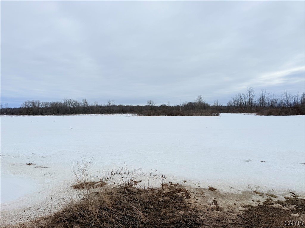 Buttermilk Flat Road La Fargeville, NY 13656 - Photo 5 of 9