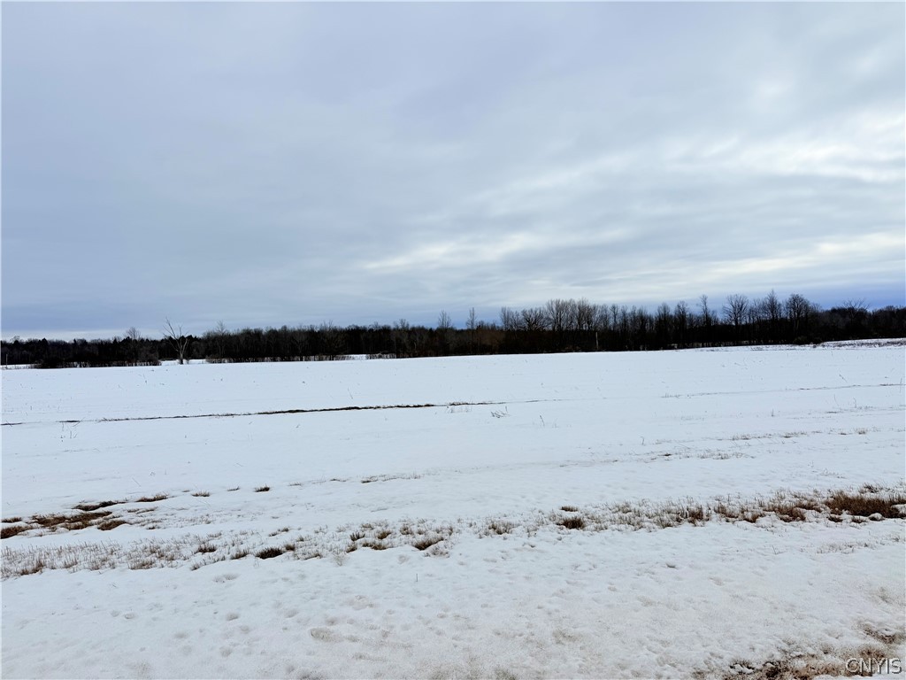 Buttermilk Flat Road La Fargeville, NY 13656 - Photo 8 of 9
