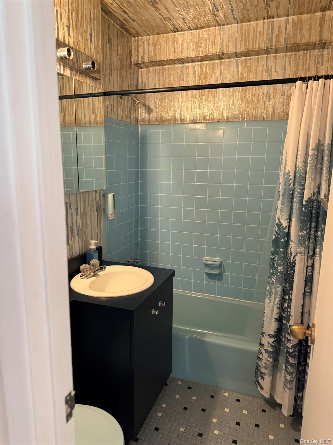 40 Daley Place, Unit 124 Lynbrook, NY 11563 - Photo 9 of 16 Hall Bathroom