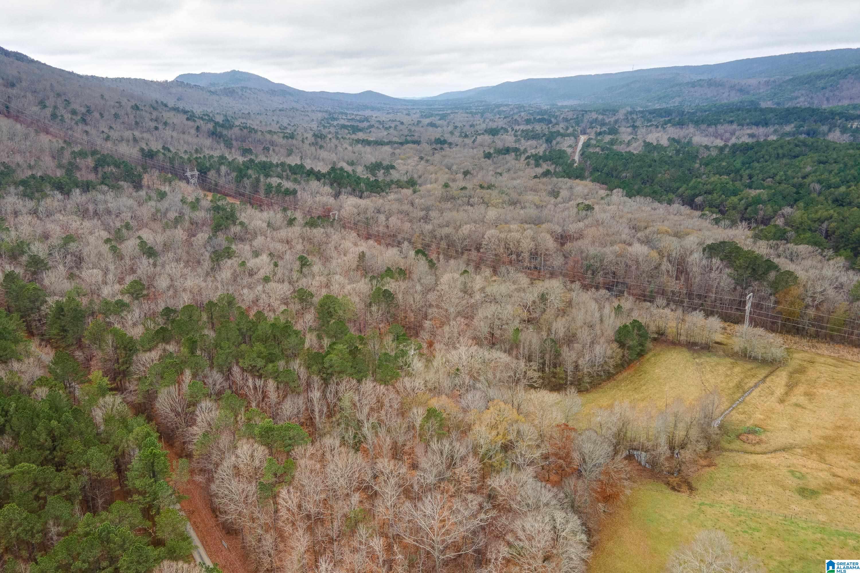 384 Moss Rock Trail Sterrett, AL 35147 - Photo 43 of 47