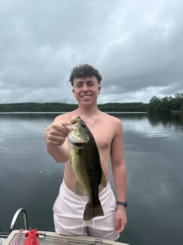 $1,995,000 | 9788 North Carlson Lane, Hayward, WI 54843