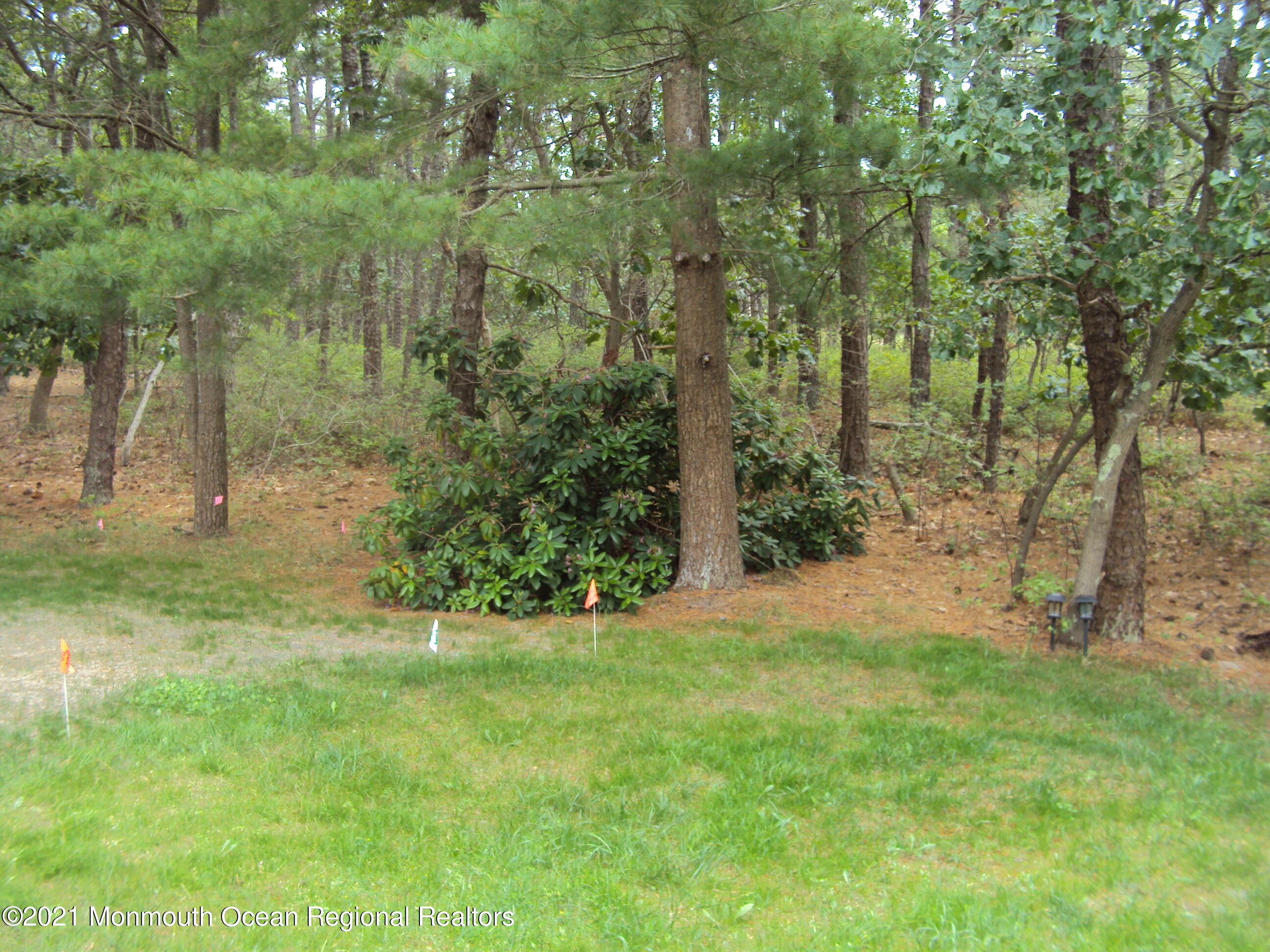 41C Medford Road, Unit D Whiting, NJ 08759 - Photo 3 of 11 DSC07940