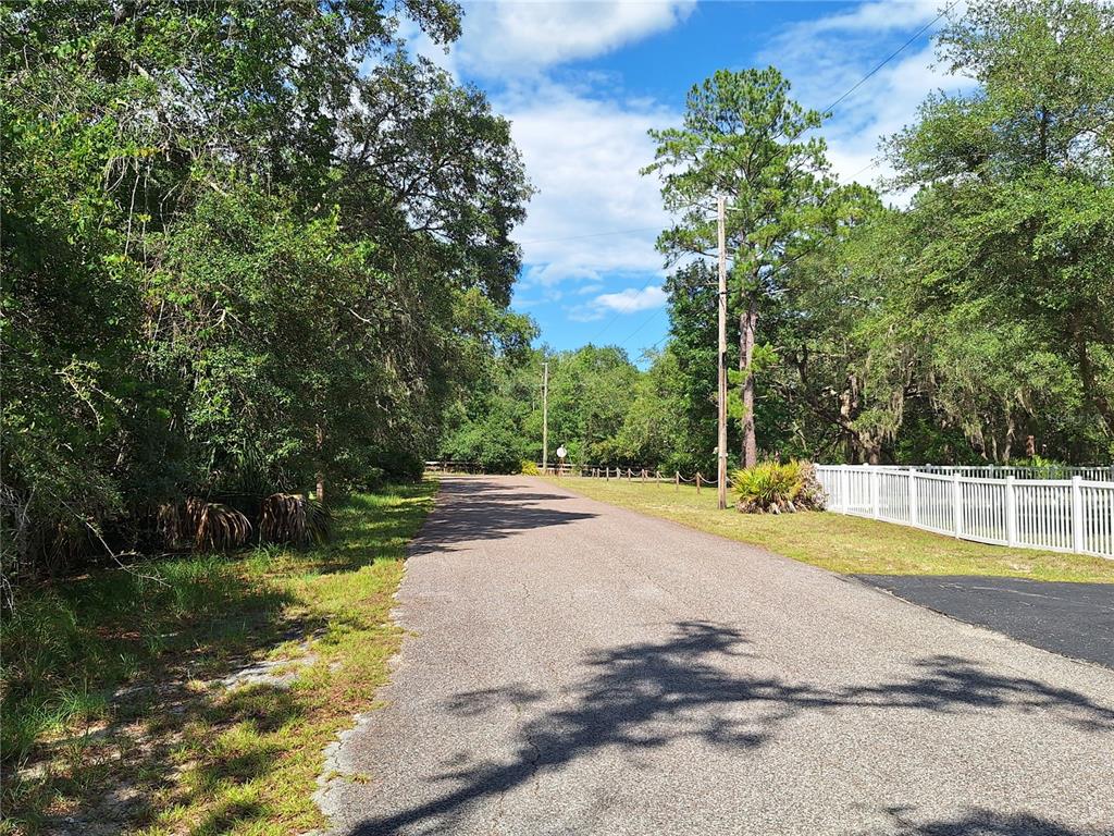 8213 Riverview Road Trenton, FL 32693 - Photo 53 of 59
