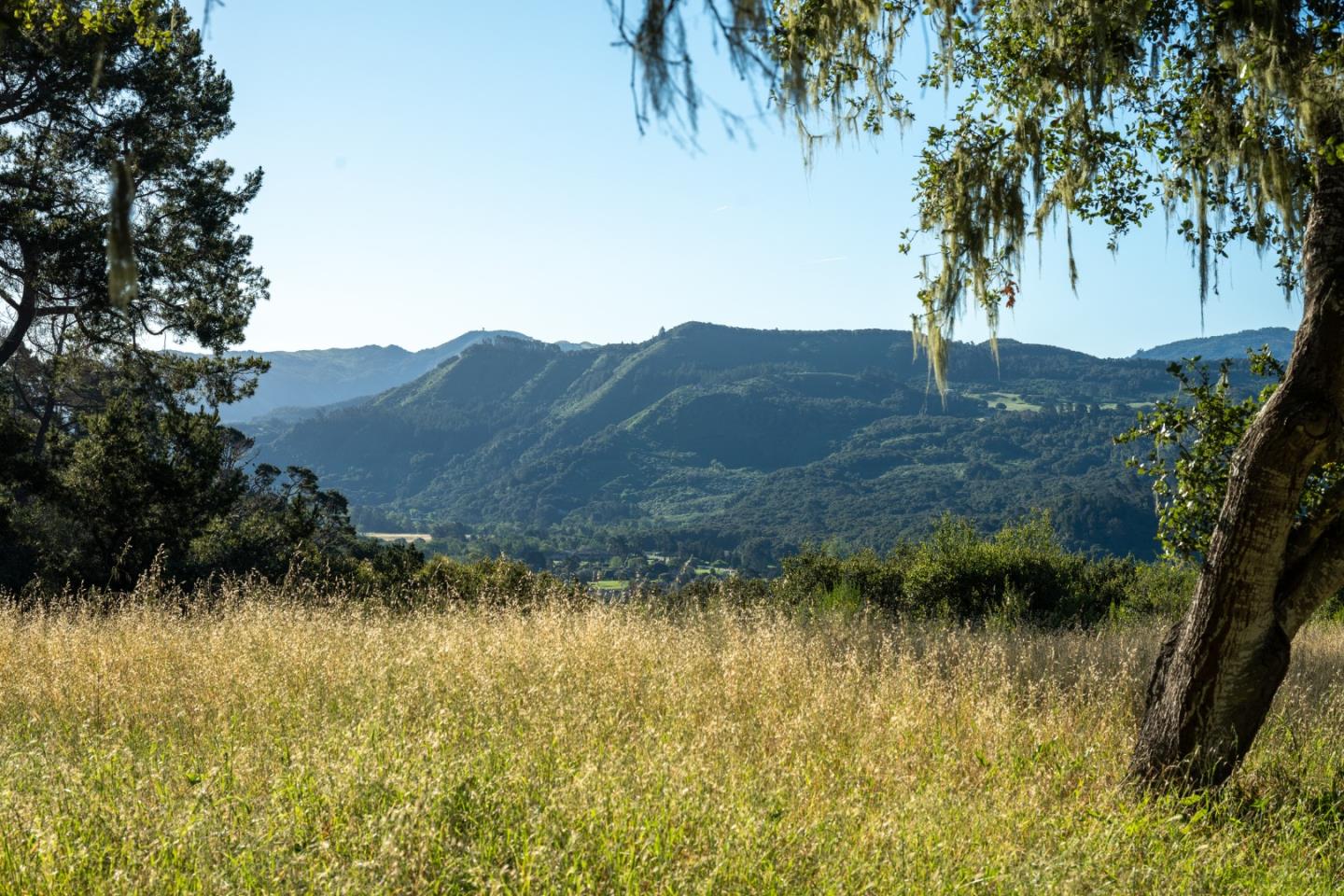 5155 Carmel Valley Road Carmel, CA 93923 - Photo 21 of 48