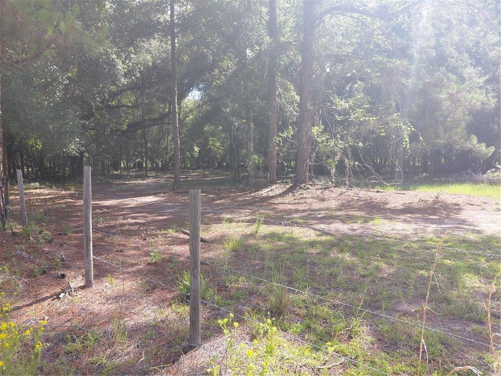 Pinon Drive Webster, FL 33597 - Photo 14 of 19