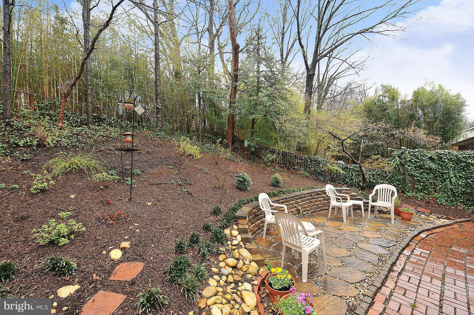 2328 Windsor Road Alexandria, VA 22307 - Photo 27 of 27 Exterior (Rear)