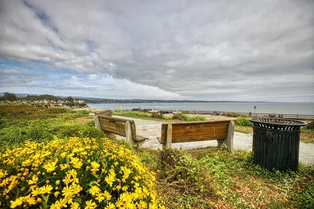 an aerial view of a houses with a yard