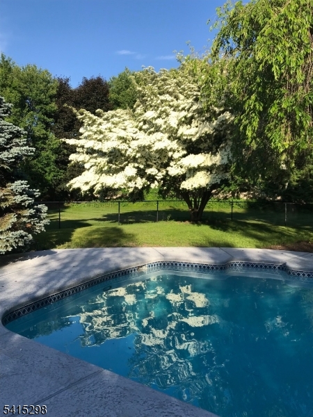 447 Rockaway Valley Road Boonton, NJ 07005 - Photo 20 of 29 a view of a park with large trees