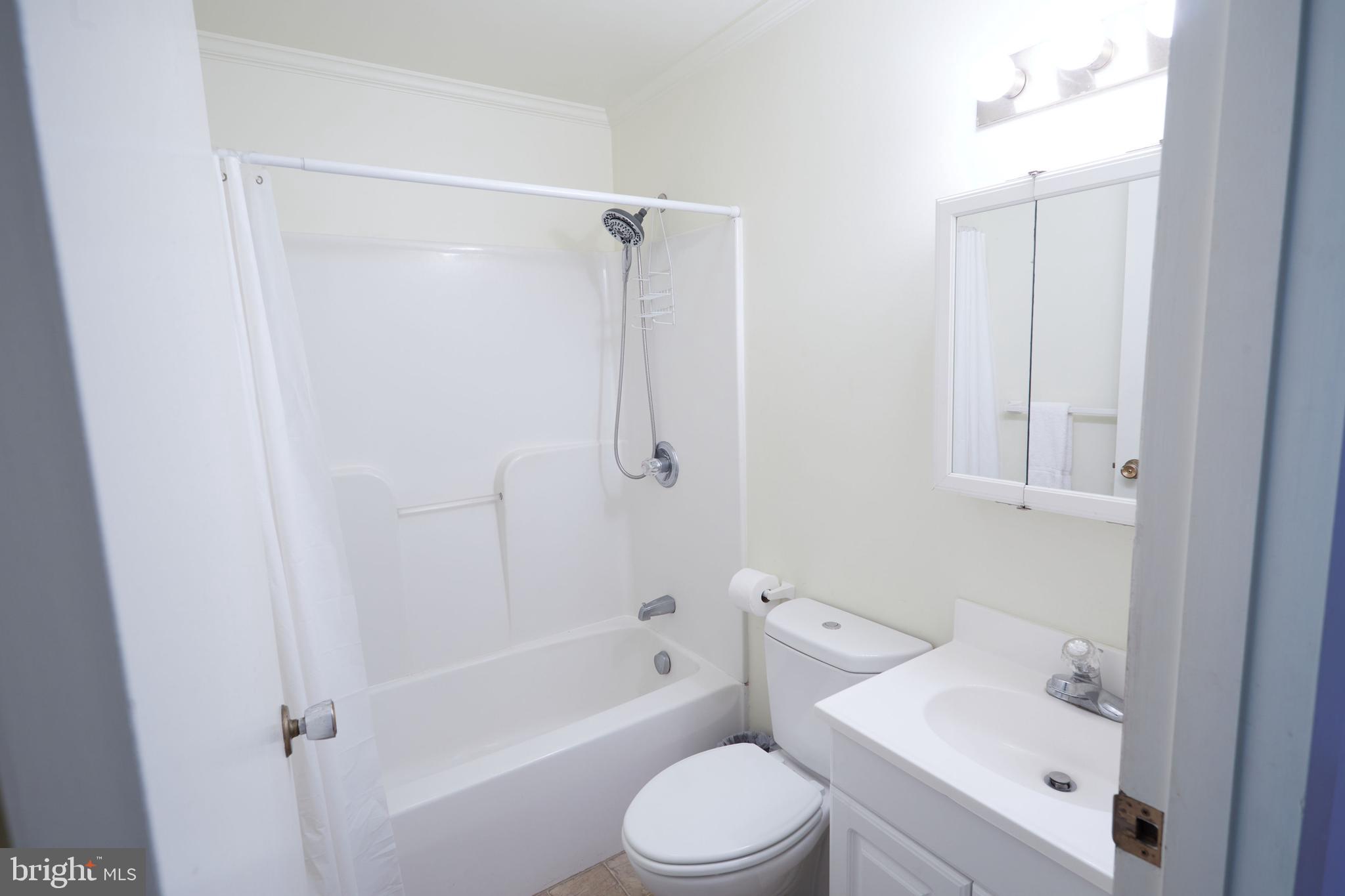 193 Red Run Road, Unit 1B3 Oakland, MD 21550 - Photo 24 of 57 Primary bath
