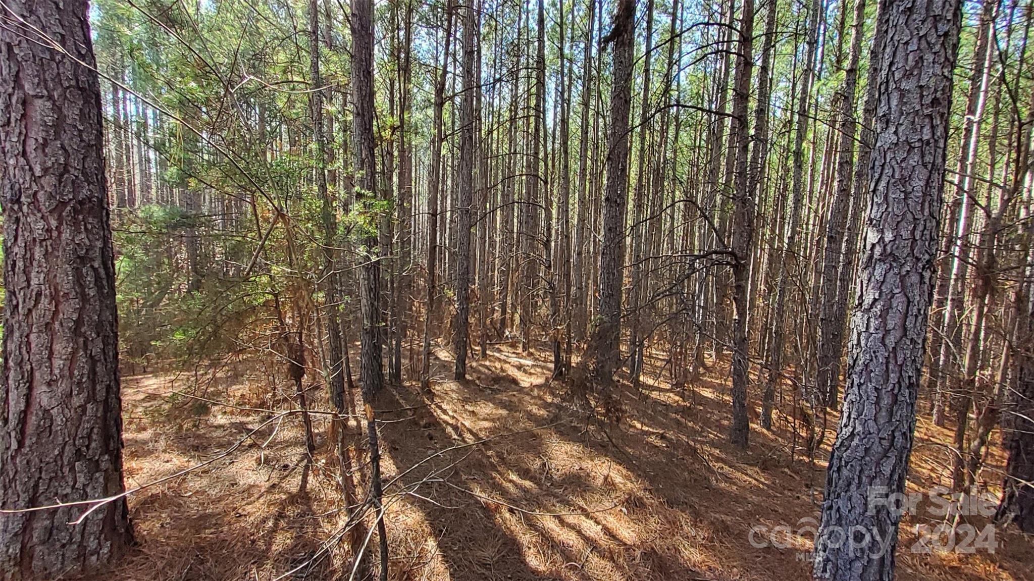 0 Sunset Drive, Unit 20 Mill Spring, NC 28756 - Photo 11 of 20 a view of outdoor space and a yard