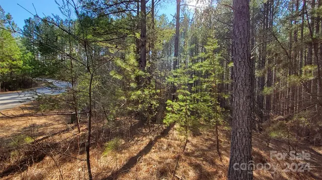 a view of a yard with plants and trees