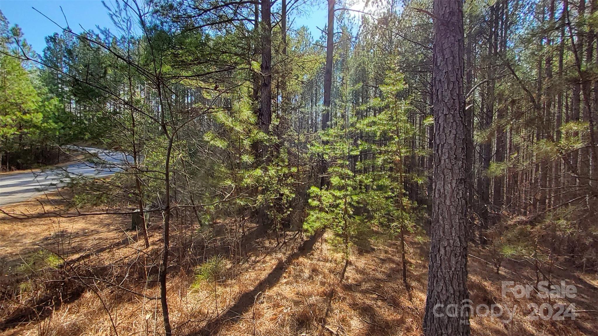 0 Sunset Drive, Unit 20 Mill Spring, NC 28756 - Photo 12 of 20