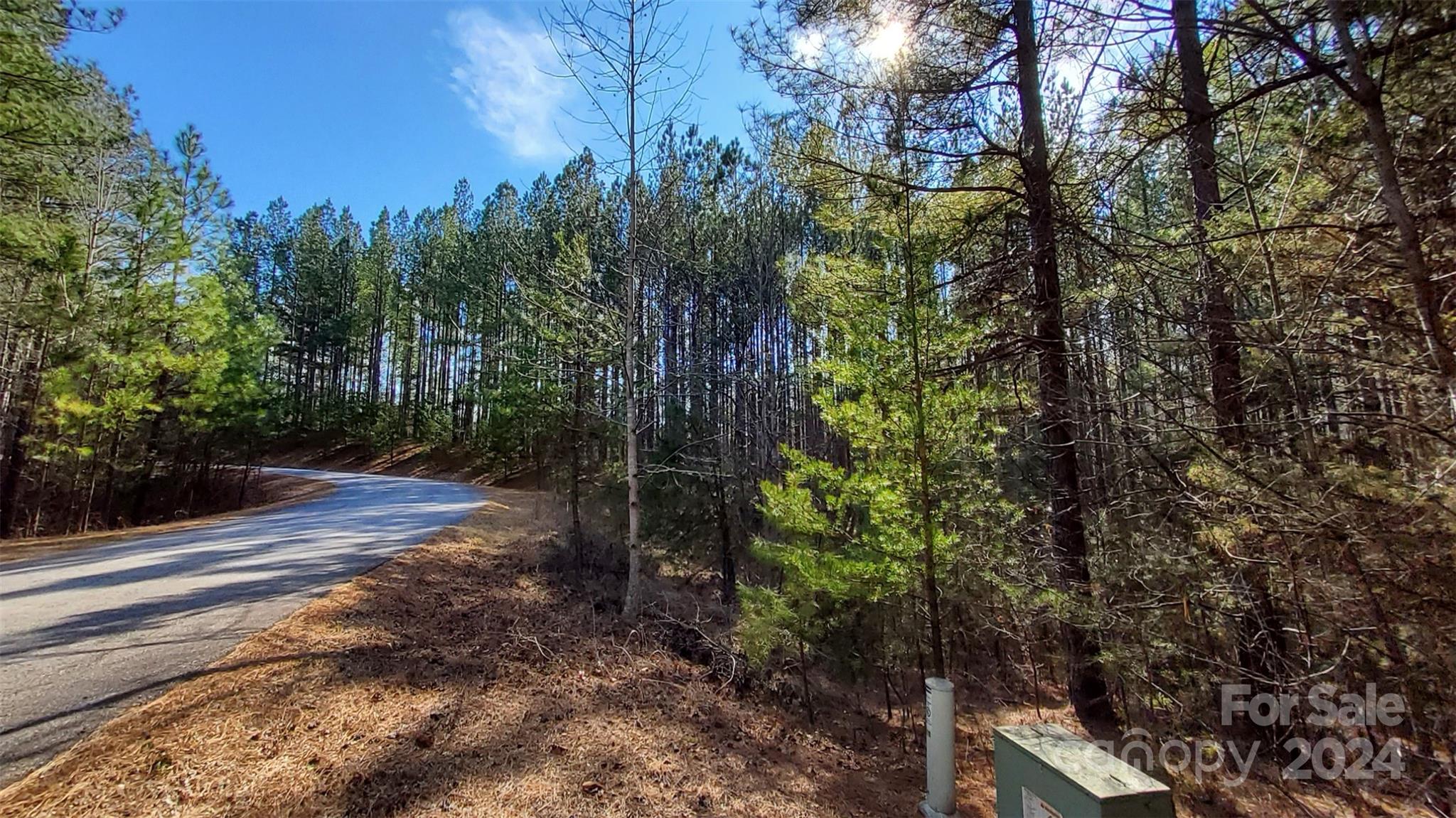 0 Sunset Drive, Unit 20 Mill Spring, NC 28756 - Photo 13 of 20 a view of a yard with plants and trees