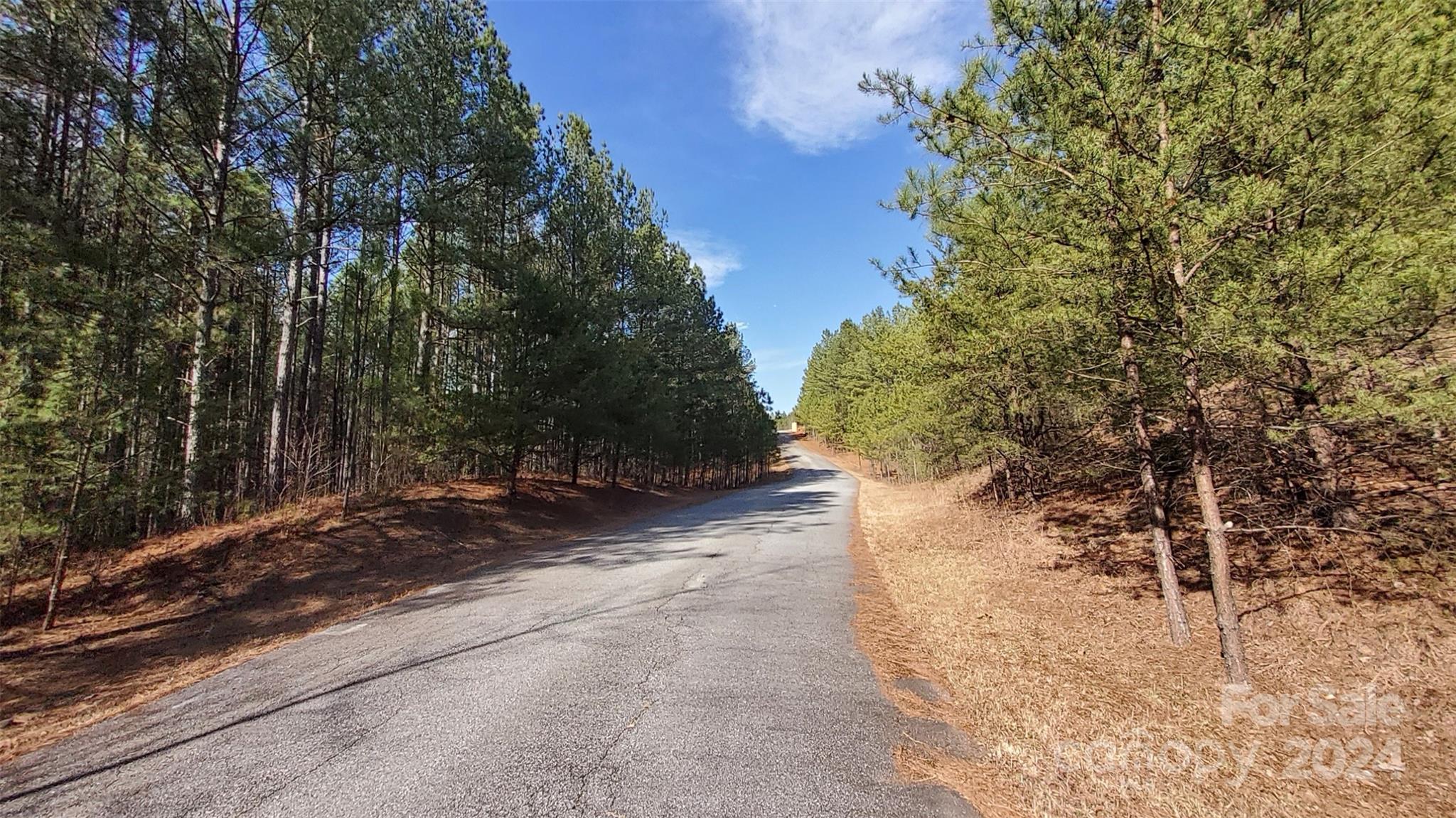 0 Sunset Drive, Unit 20 Mill Spring, NC 28756 - Photo 14 of 20 a view of a yard with plants and trees