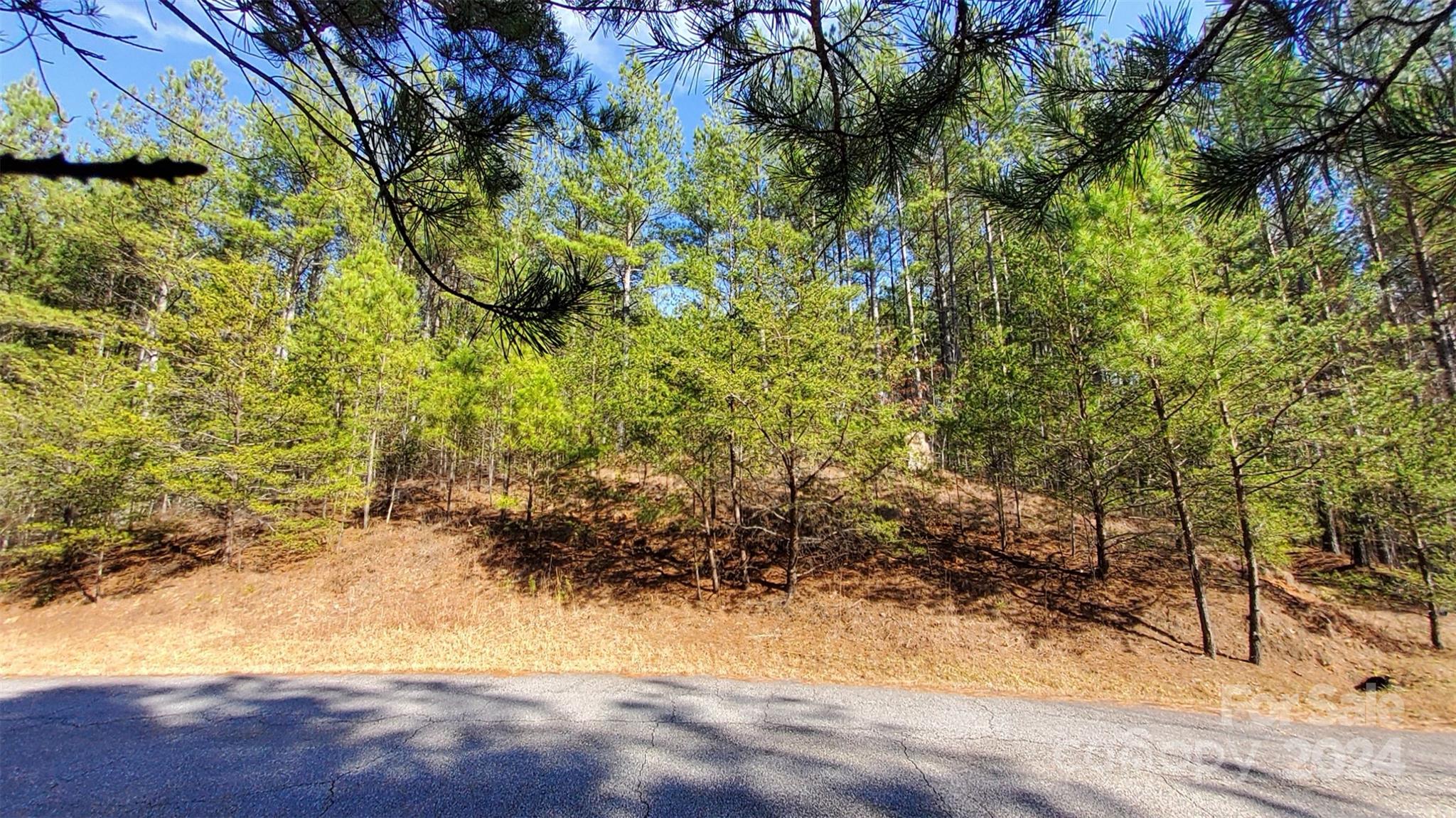 0 Sunset Drive, Unit 20 Mill Spring, NC 28756 - Photo 15 of 20 a view of a yard with plants and trees