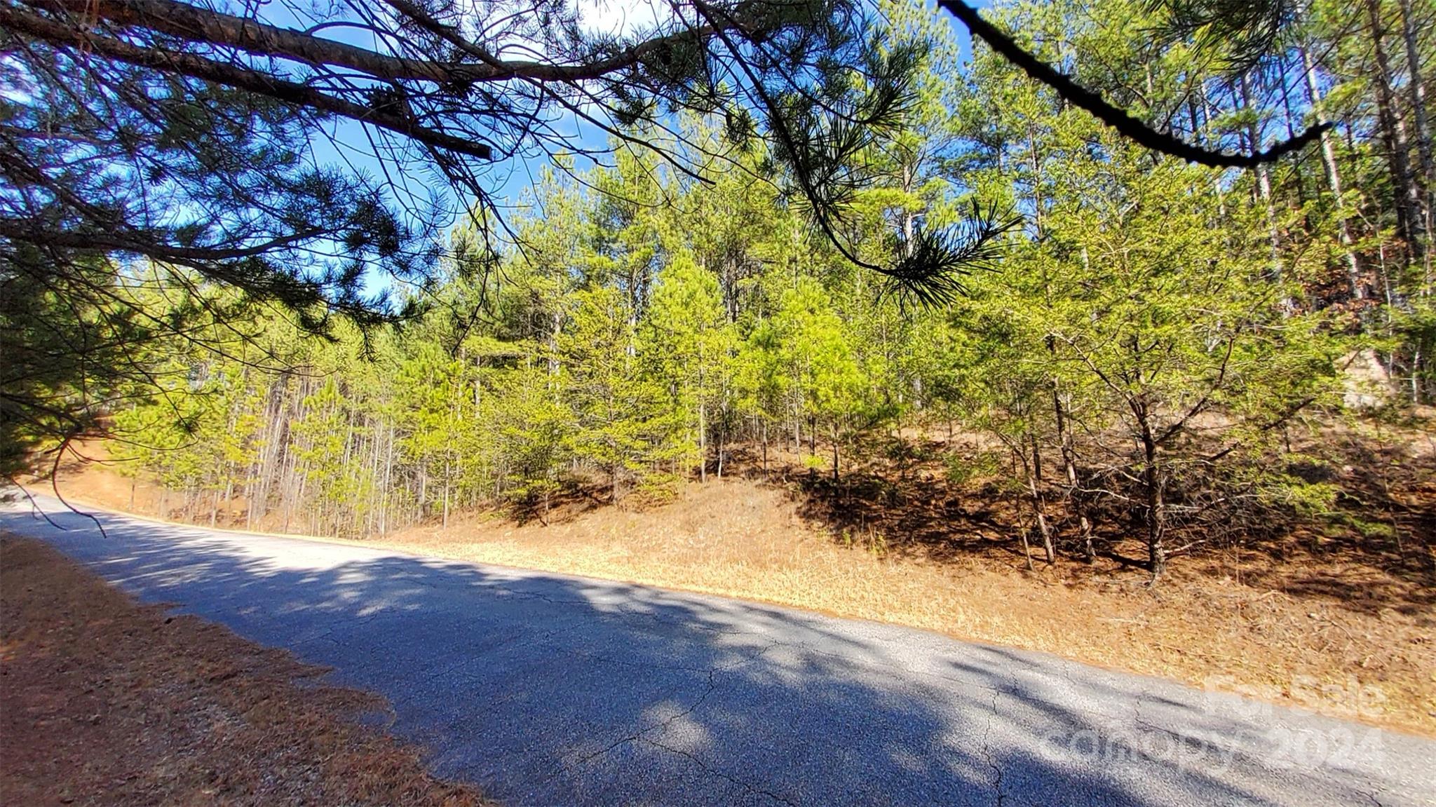 0 Sunset Drive, Unit 20 Mill Spring, NC 28756 - Photo 16 of 20