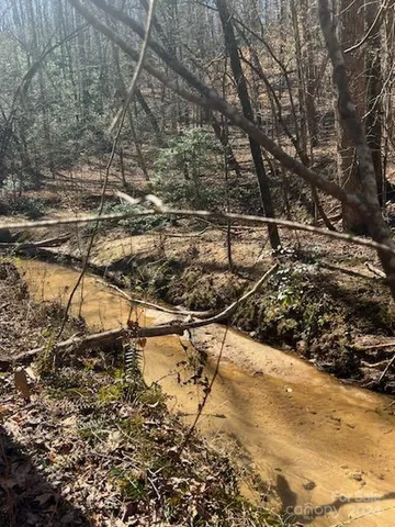 a view of a road with trees in the background