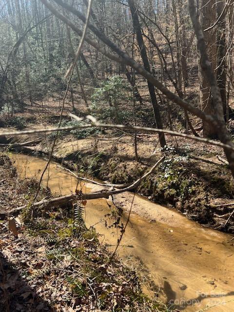 0 Sunset Drive, Unit 20 Mill Spring, NC 28756 - Photo 17 of 20 a view of a yard with wooden fence