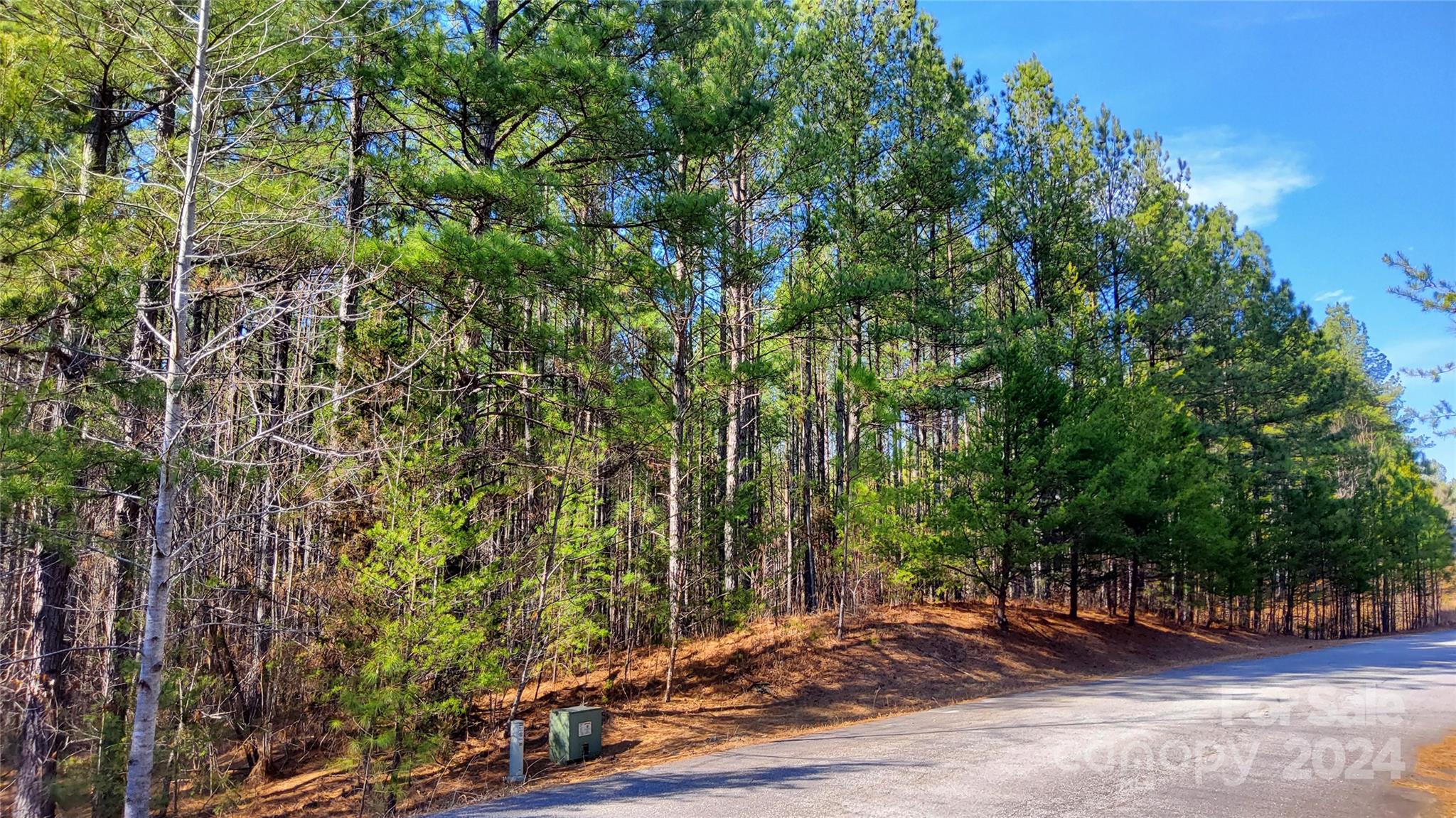0 Sunset Drive, Unit 20 Mill Spring, NC 28756 - Photo 5 of 20 a view of a street with some trees