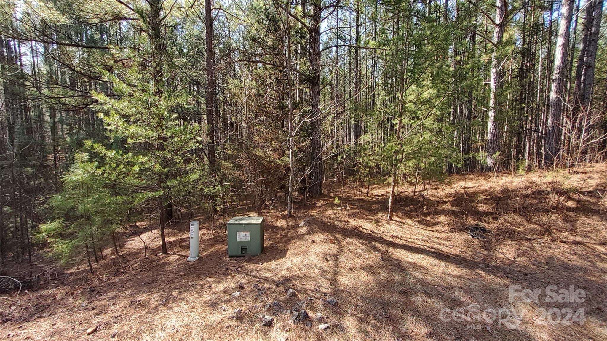 0 Sunset Drive, Unit 20 Mill Spring, NC 28756 - Photo 6 of 20 a view of a forest with trees