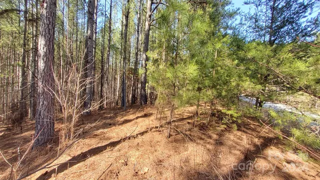 a view of backyard of house