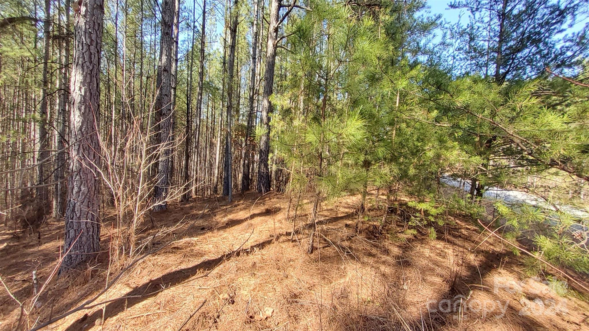 0 Sunset Drive, Unit 20 Mill Spring, NC 28756 - Photo 7 of 20 a view of a yard with plants and trees
