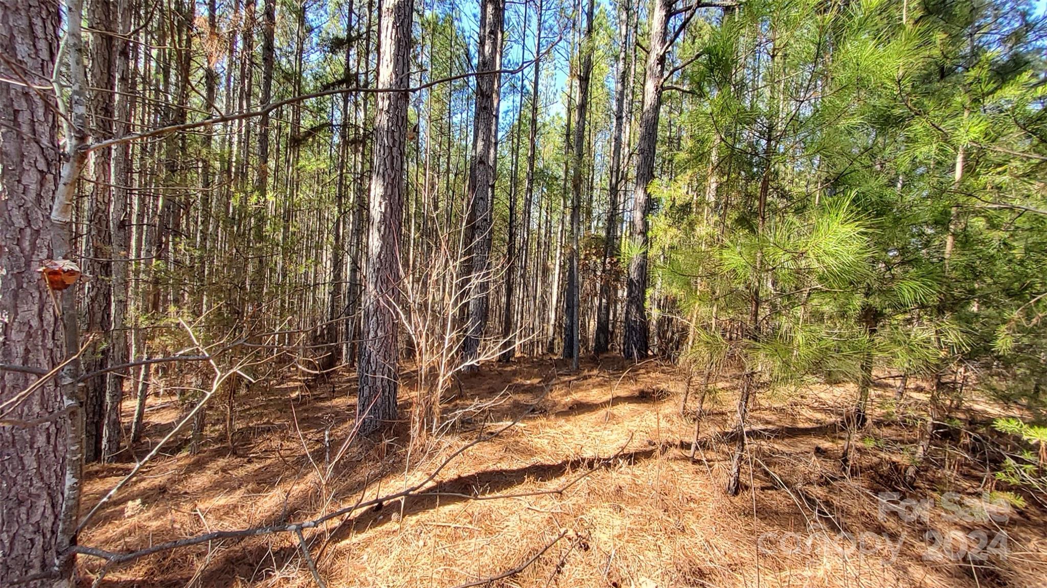 0 Sunset Drive, Unit 20 Mill Spring, NC 28756 - Photo 8 of 20 a view of backyard of house