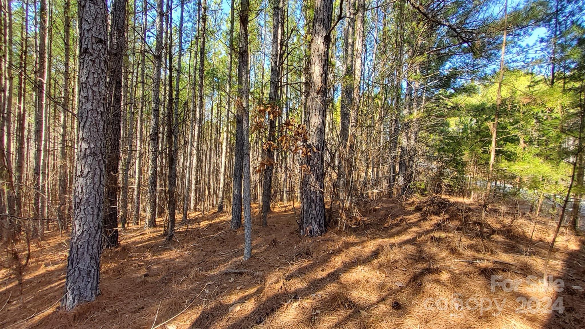 0 Sunset Drive, Unit 20 Mill Spring, NC 28756 - Photo 9 of 20 a view of outdoor space and yard