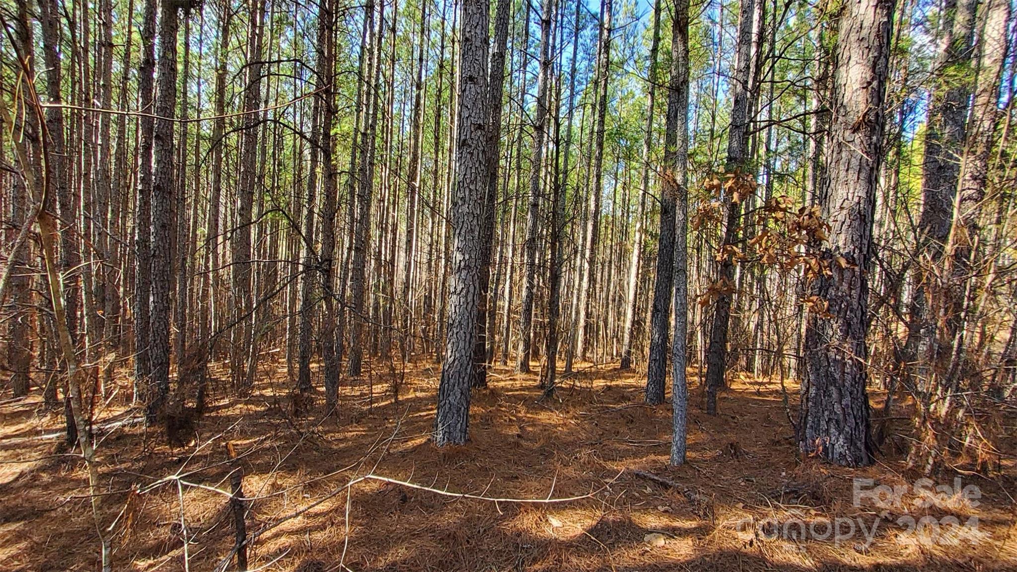 0 Sunset Drive, Unit 20 Mill Spring, NC 28756 - Photo 10 of 20 a view of outdoor space with garden